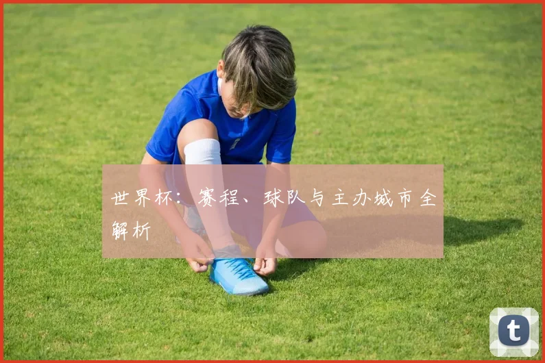 世界杯:赛程、球队与主办城市全解析